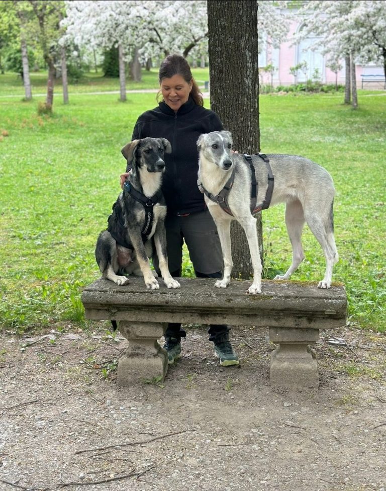 Hundeschule Neuhof